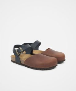 Trendroar.shopefa37ddeae 2