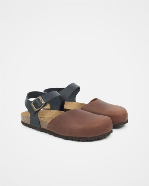 Trendroar.shopefa37ddeae 2