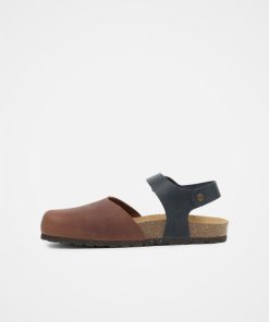 Trendroar.shopefa37ddeae 3