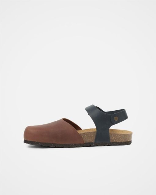 Trendroar.shopefa37ddeae 3