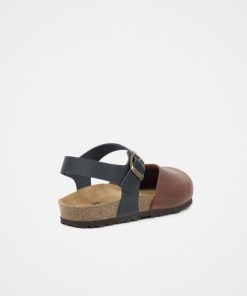 Trendroar.shopefa37ddeae 4