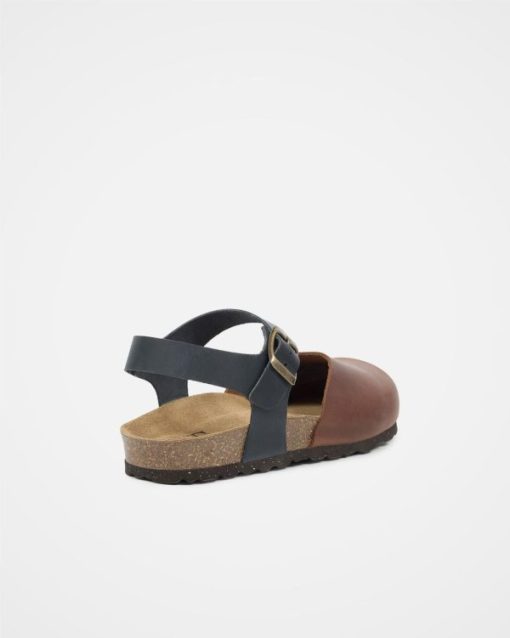 Trendroar.shopefa37ddeae 4