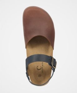 Trendroar.shopefa37ddeae 5