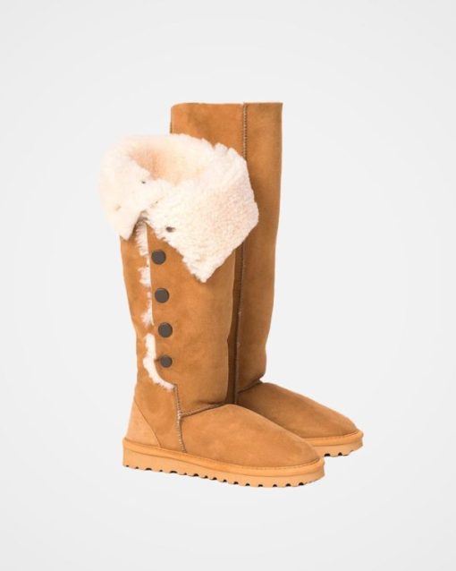 Trendroar.shopf287e02991 3
