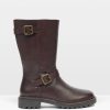 Trendroar.shopf6ec408061 1