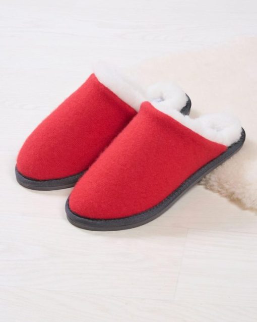 Trendroar.shopf7db1ef48c 1