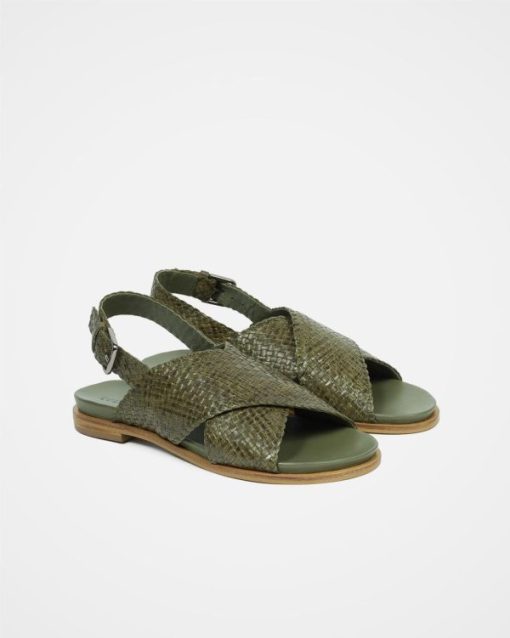 Trendroar.shopfb23cf52a4 2