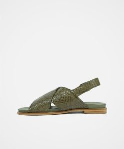 Trendroar.shopfb23cf52a4 3