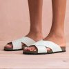Trendroar.shopfbc61f9ca9 1