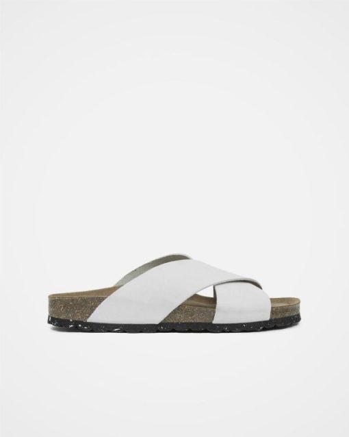 Trendroar.shopfbc61f9ca9 2