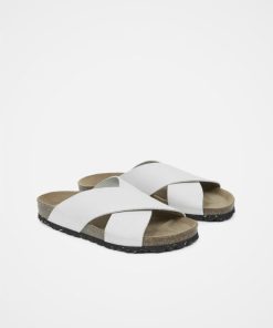 Trendroar.shopfbc61f9ca9 4
