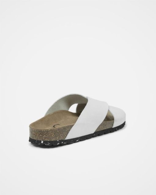 Trendroar.shopfbc61f9ca9 5