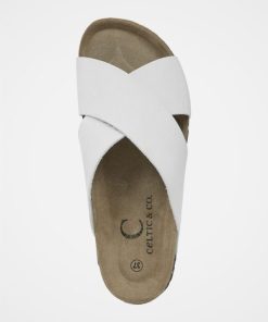 Trendroar.shopfbc61f9ca9 6