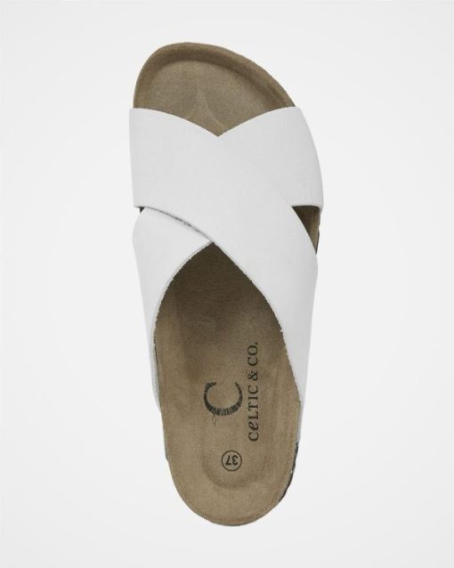 Trendroar.shopfbc61f9ca9 6