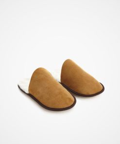 Trendroar.shopfcbdb67afa 2
