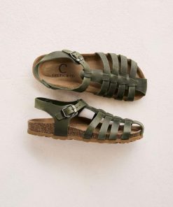 Trendroar.shopfd71c4e9d0 1