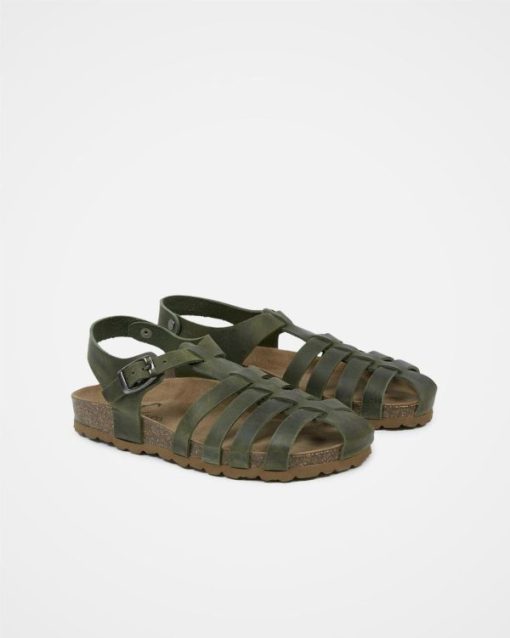 Trendroar.shopfd71c4e9d0 2