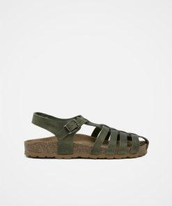 Trendroar.shopfd71c4e9d0 3