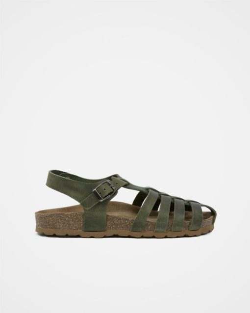 Trendroar.shopfd71c4e9d0 3