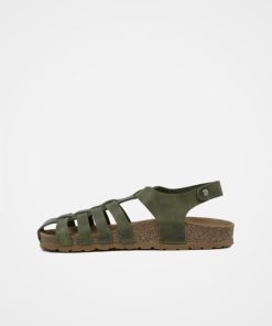 Trendroar.shopfd71c4e9d0 4