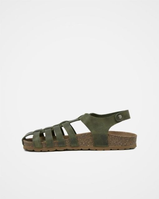 Trendroar.shopfd71c4e9d0 4