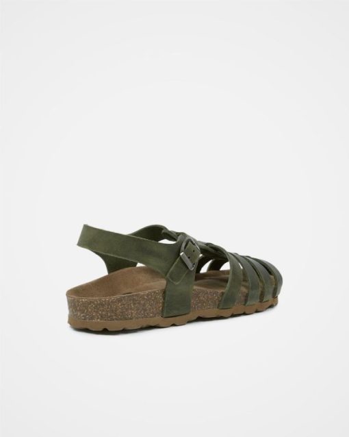 Trendroar.shopfd71c4e9d0 5