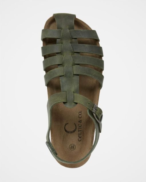 Trendroar.shopfd71c4e9d0 6