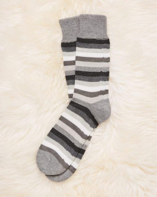 Trendroar.shopfe2c213e9a 1