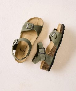 Trendroar.shopff02e86a0a 1