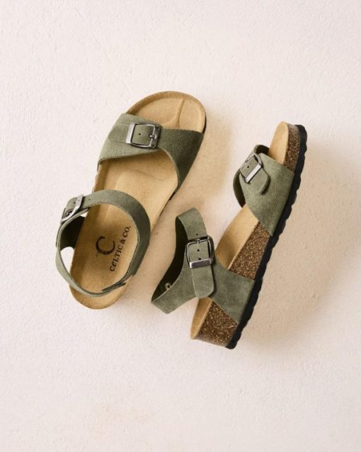 Trendroar.shopff02e86a0a 1