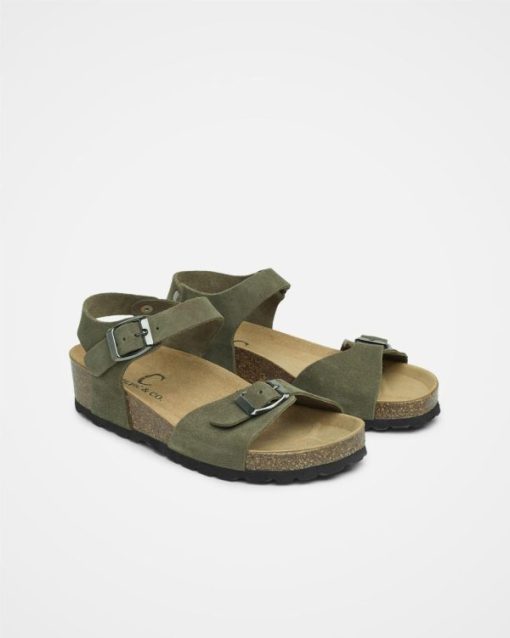 Trendroar.shopff02e86a0a 2
